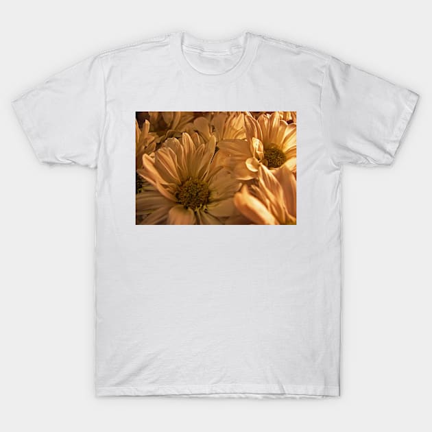 White Flowers T-Shirt by jswolfphoto